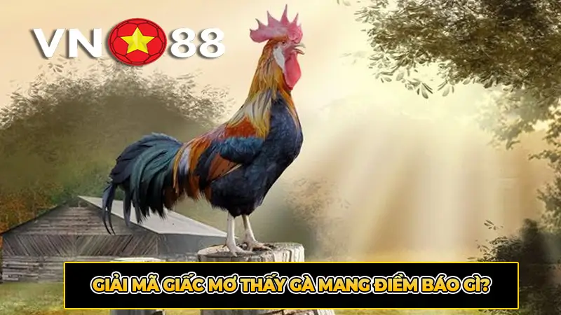 Giải mã giấc mơ thấy gà mang điềm báo gì?