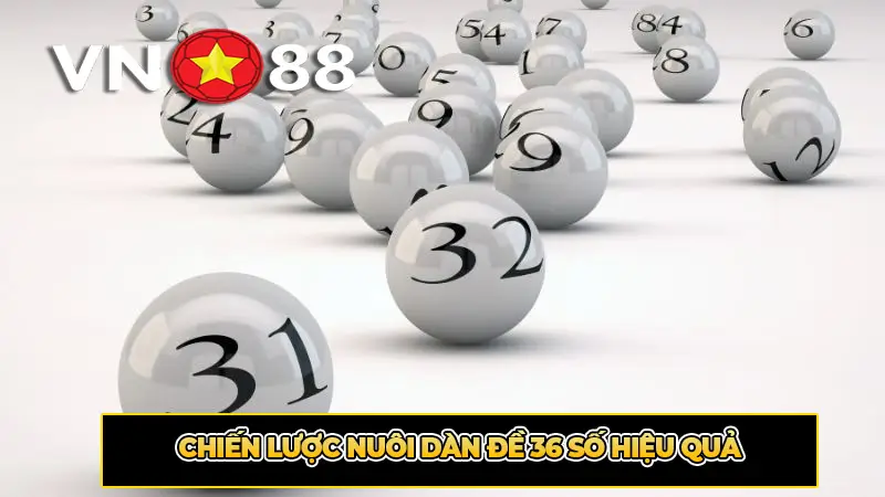 Chiến lược nuôi dàn đề 36 số hiệu quả
